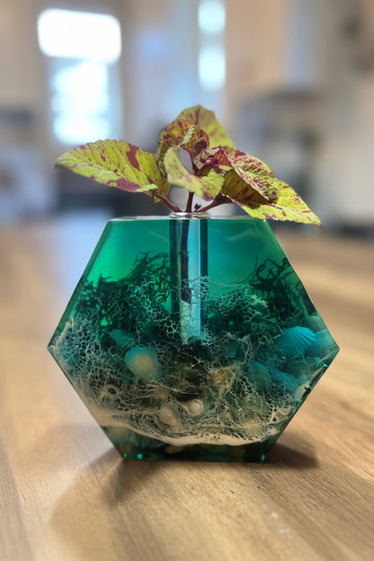 Ocean- Inspired Propagation Station