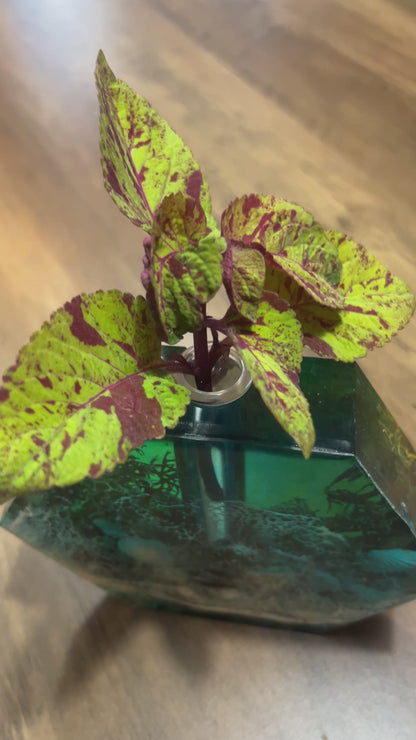 Ocean- Inspired Propagation Station
